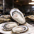 Fresh Oysters