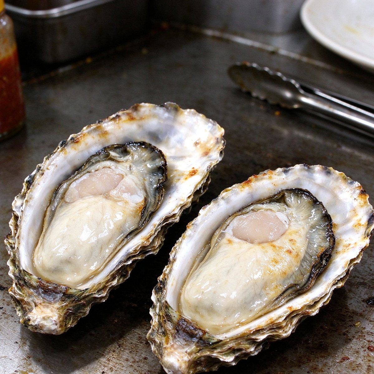 Fresh Oysters