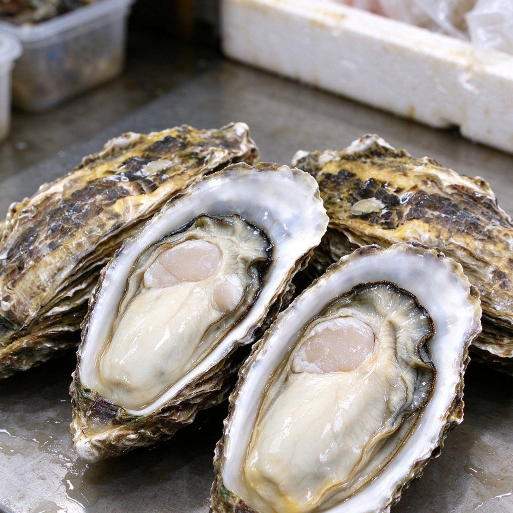 Fresh Oysters